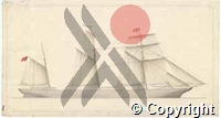 DS-VA-2-5264web.jpg