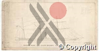 DS-VA-2-5288web.jpg