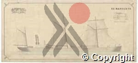 DS-VA-2-5427web.jpg
