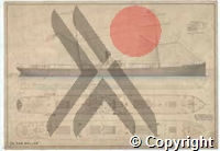 DS-VA-2-5453web.jpg