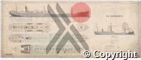 DS-VA-2-5597web.jpg