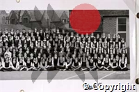 e.nc14.3.12.11.d.jpg